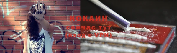 стаф Кинешма