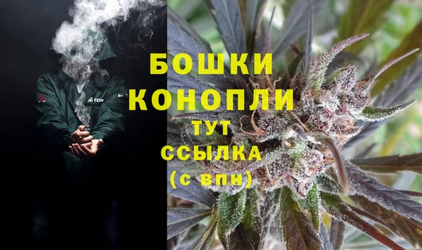 стаф Кинешма