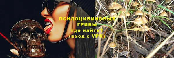 стаф Кинешма