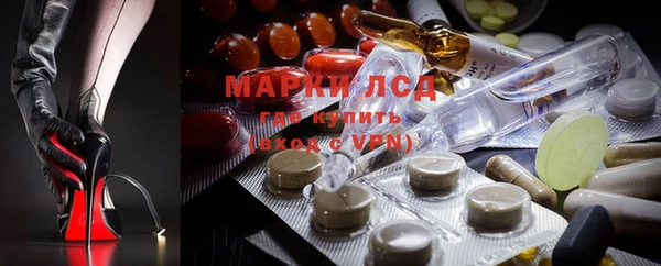 гашик Касимов