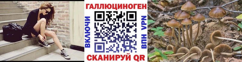 Купить закладки  Бугульма  Галлюциногенные грибы GOLDEN TEACHER 